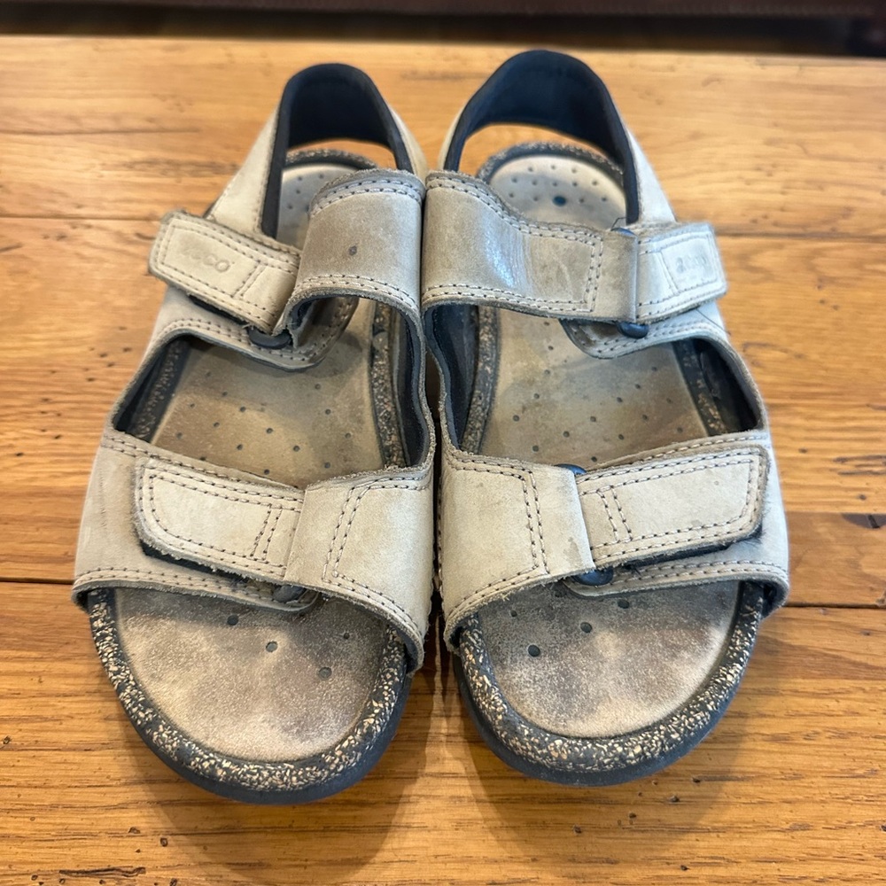 Ecco Hiking Sandals